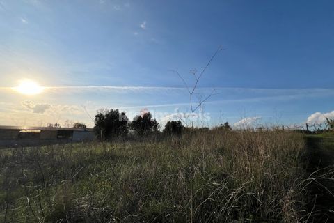 Helårsgrund i Tomar, Santarem, Tomar - € 49.000 | Ref: 01337-24 - foto 23