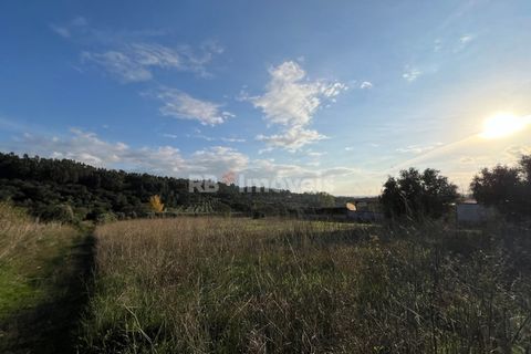 Helårsgrund i Tomar, Santarem, Tomar - € 49.000 | Ref: 01337-24 - foto 24