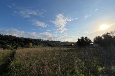 Helårsgrund i Tomar, Santarem, Tomar - € 49.000 | Ref: 01337-24 - foto 25