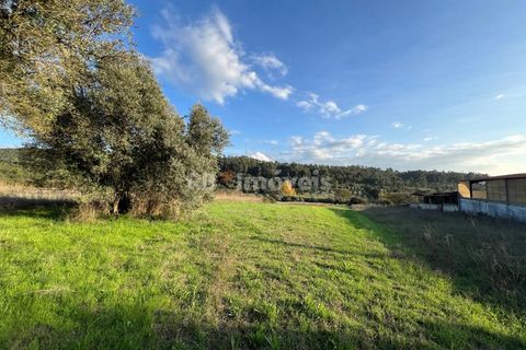Helårsgrund i Tomar, Santarem, Tomar - € 49.000 | Ref: 01337-24 - foto 26