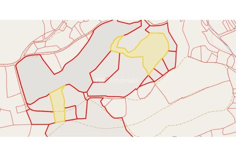 Terra a Gaviao, Portalegre, Gaviao - € 15.000 | Ref: 01359-24 - foto 3