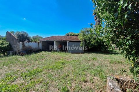 Landejendom i Tomar, Santarem, Tomar - € 135.000 | Ref: 01237-24 - foto 8