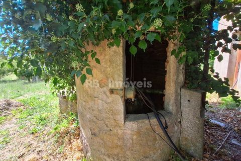 Landejendom i Tomar, Santarem, Tomar - € 135.000 | Ref: 01237-24 - foto 9