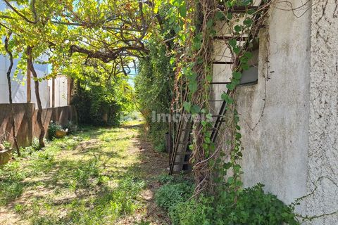 Landejendom i Tomar, Santarem, Tomar - € 135.000 | Ref: 01237-24 - foto 7