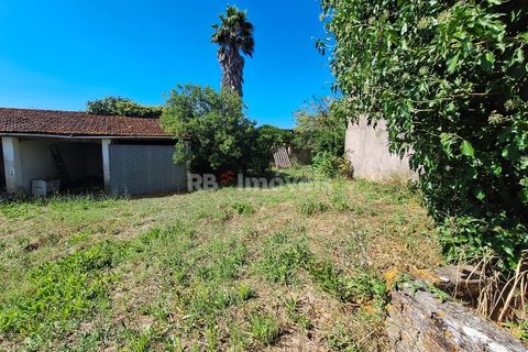 Landejendom i Tomar, Santarem, Tomar - € 135.000 | Ref: 01237-24 - foto 10