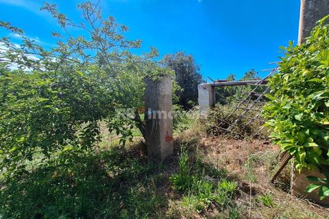 Landejendom i Tomar, Santarem, Tomar - € 135.000 | Ref: 01237-24 - foto 11
