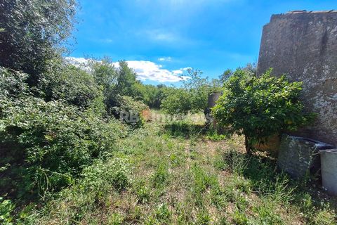 Landejendom i Tomar, Santarem, Tomar - € 135.000 | Ref: 01237-24 - foto 12