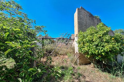 Landejendom i Tomar, Santarem, Tomar - € 135.000 | Ref: 01237-24 - foto 13