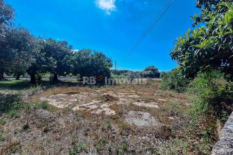 Landejendom i Tomar, Santarem, Tomar - € 135.000 | Ref: 01237-24 - foto 14