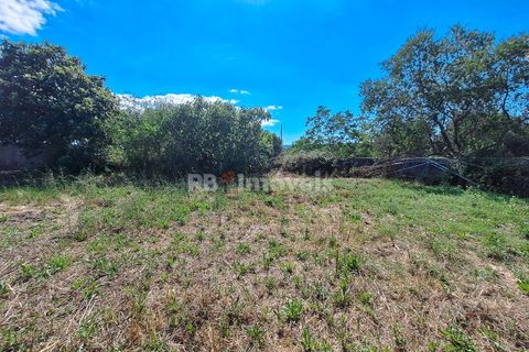 Landejendom i Tomar, Santarem, Tomar - € 135.000 | Ref: 01237-24 - foto 15