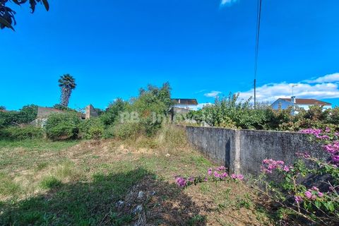 Landejendom i Tomar, Santarem, Tomar - € 135.000 | Ref: 01237-24 - foto 16