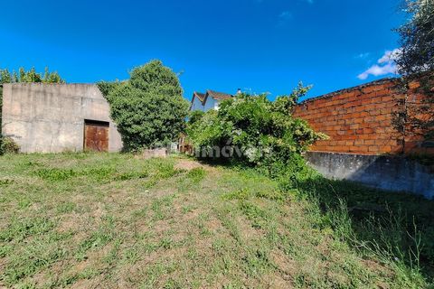 Landejendom i Tomar, Santarem, Tomar - € 135.000 | Ref: 01237-24 - foto 17