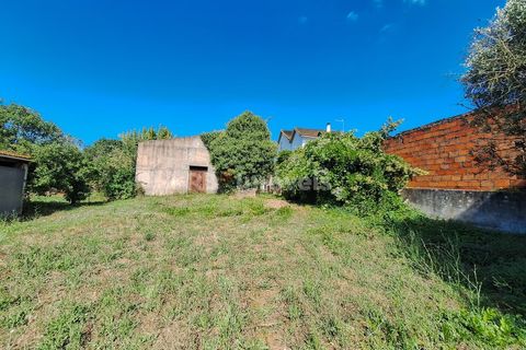 Landejendom i Tomar, Santarem, Tomar - € 135.000 | Ref: 01237-24 - foto 18