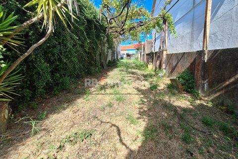 Landejendom i Tomar, Santarem, Tomar - € 135.000 | Ref: 01237-24 - foto 19