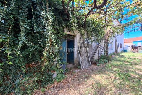 Landejendom i Tomar, Santarem, Tomar - € 135.000 | Ref: 01237-24 - foto 20