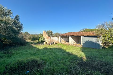 Landejendom i Tomar, Santarem, Tomar - € 135.000 | Ref: 01237-24 - foto 21