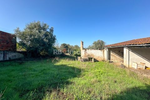 Landejendom i Tomar, Santarem, Tomar - € 135.000 | Ref: 01237-24 - foto 22