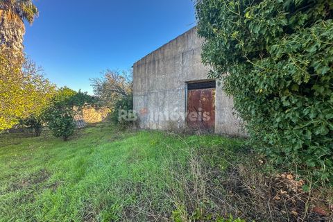 Landejendom i Tomar, Santarem, Tomar - € 135.000 | Ref: 01237-24 - foto 23