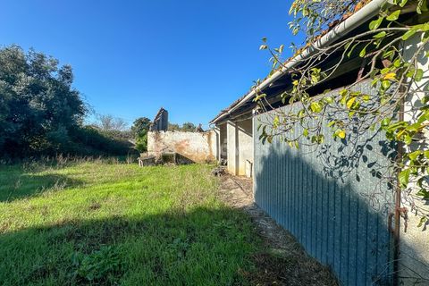Landejendom i Tomar, Santarem, Tomar - € 135.000 | Ref: 01237-24 - foto 24