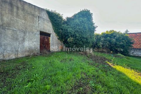 Landejendom i Tomar, Santarem, Tomar - € 135.000 | Ref: 01237-24 - foto 25