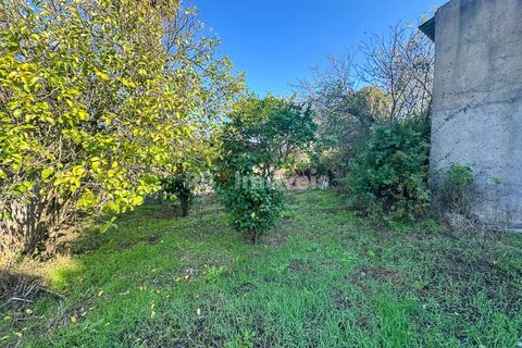 Landejendom i Tomar, Santarem, Tomar - € 135.000 | Ref: 01237-24 - foto 26