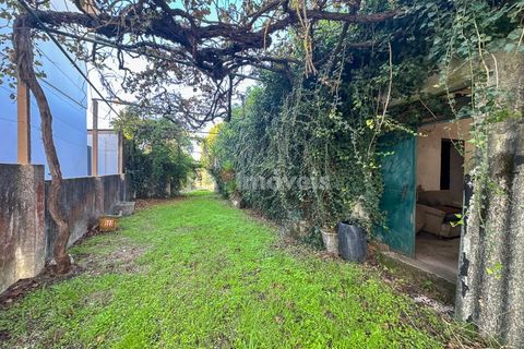 Landejendom i Tomar, Santarem, Tomar - € 135.000 | Ref: 01237-24 - foto 29