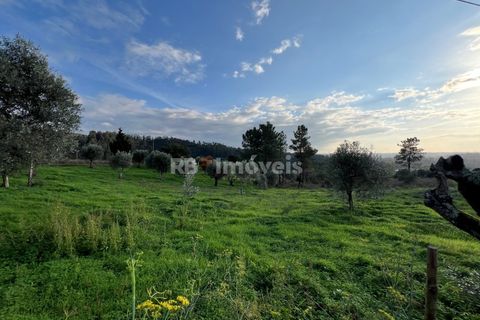 Helårsgrund i Tomar, Santarem, Tomar - € 104.920 | Ref: 01336-24 - foto 7