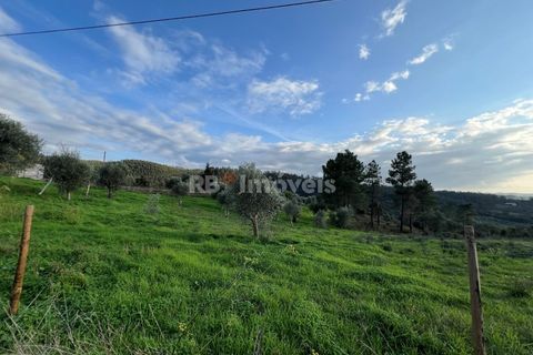 Helårsgrund i Tomar, Santarem, Tomar - € 104.920 | Ref: 01336-24 - foto 8