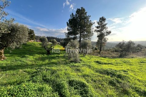 Helårsgrund i Tomar, Santarem, Tomar - € 104.920 | Ref: 01336-24 - foto 17