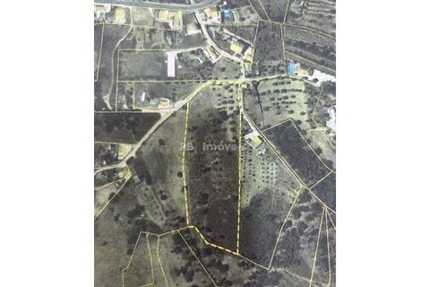 Helårsgrund i Tomar, Santarem, Tomar - € 104.920 | Ref: 01336-24 - foto 18