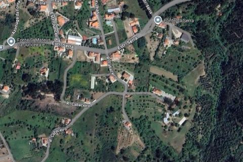 Helårsgrund i Tomar, Santarem, Tomar - € 104.920 | Ref: 01336-24 - foto 19