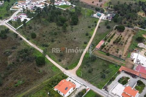 Terra a Atalaia, Santarem, Atalaia - € 125.000 | Ref: 01341-24 - foto 2