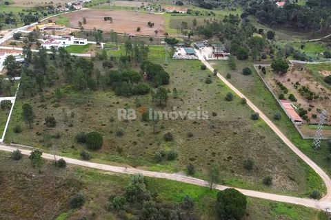 Terra a Atalaia, Santarem, Atalaia - € 125.000 | Ref: 01341-24 - foto 4