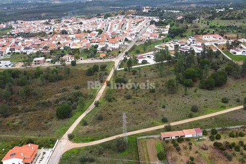 Terra a Atalaia, Santarem, Atalaia - € 125.000 | Ref: 01341-24 - foto 5