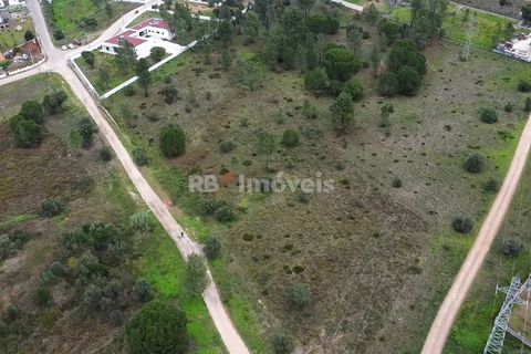 Terra a Atalaia, Santarem, Atalaia - € 125.000 | Ref: 01341-24 - foto 6