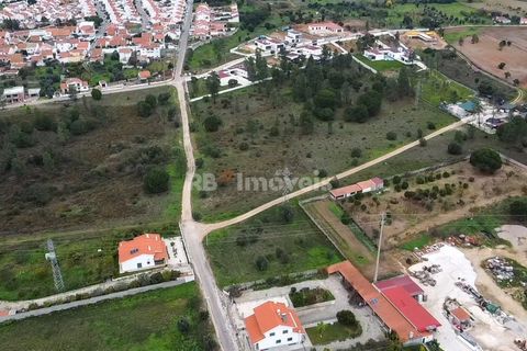 Terra a Atalaia, Santarem, Atalaia - € 125.000 | Ref: 01341-24 - foto 7