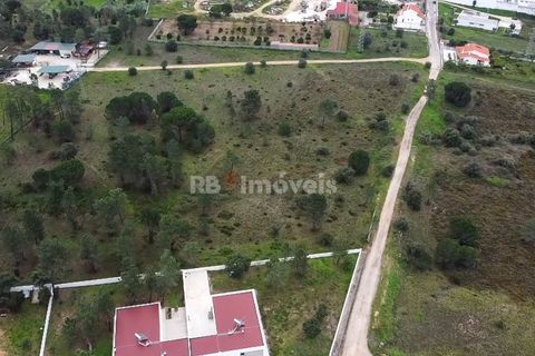 Terra a Atalaia, Santarem, Atalaia - € 125.000 | Ref: 01341-24 - foto 8