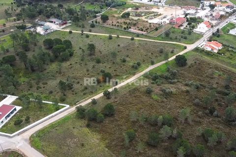Terra a Atalaia, Santarem, Atalaia - € 125.000 | Ref: 01341-24 - foto 10