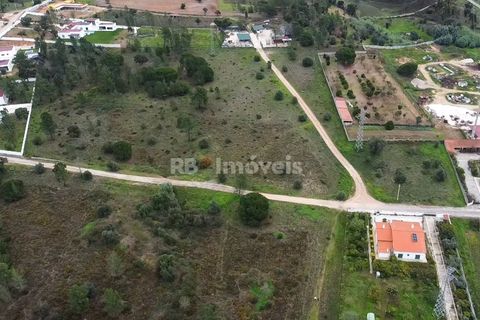 Terra a Atalaia, Santarem, Atalaia - € 125.000 | Ref: 01341-24 - foto 11