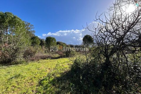 Helårsgrund i Tomar, Santarem, Tomar - € 8.000 | Ref: 01217-24 - foto 4