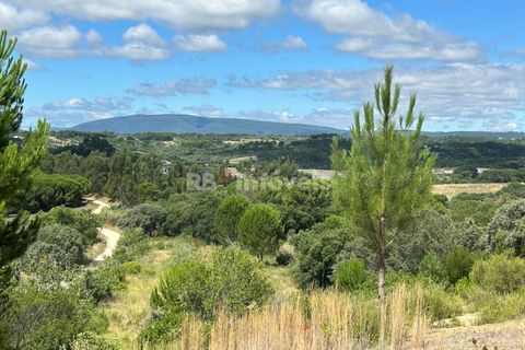 Helårsgrund i Tomar, Santarem, Tomar - € 8.000 | Ref: 01217-24 - foto 3