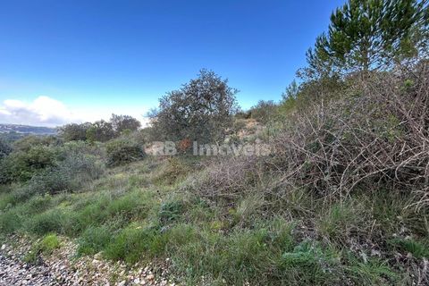 Helårsgrund i Tomar, Santarem, Tomar - € 8.000 | Ref: 01217-24 - foto 6