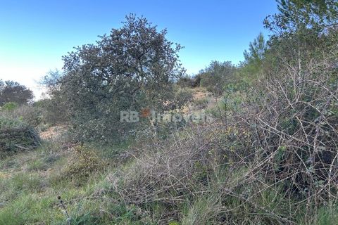 Helårsgrund i Tomar, Santarem, Tomar - € 8.000 | Ref: 01217-24 - foto 7