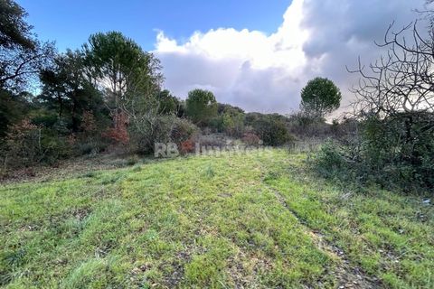 Helårsgrund i Tomar, Santarem, Tomar - € 8.000 | Ref: 01217-24 - foto 8