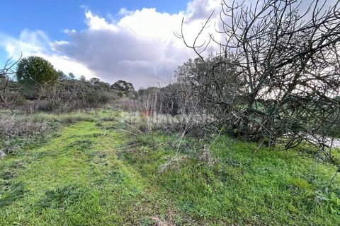 Helårsgrund i Tomar, Santarem, Tomar - € 8.000 | Ref: 01217-24 - foto 10