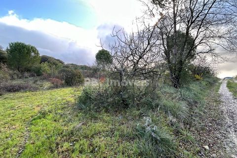 Helårsgrund i Tomar, Santarem, Tomar - € 8.000 | Ref: 01217-24 - foto 11