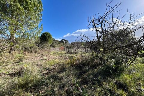 Helårsgrund i Tomar, Santarem, Tomar - € 8.000 | Ref: 01217-24 - foto 12