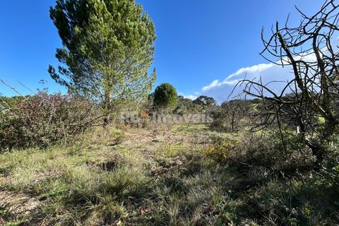 Helårsgrund i Tomar, Santarem, Tomar - € 8.000 | Ref: 01217-24 - foto 13