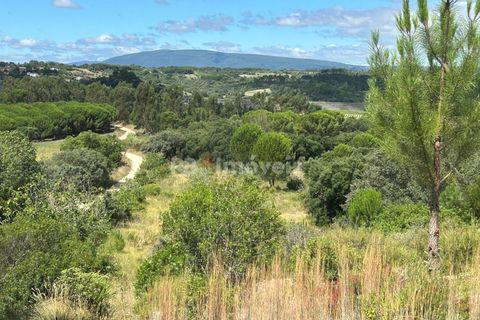 Helårsgrund i Tomar, Santarem, Tomar - € 8.000 | Ref: 01217-24 - foto 16