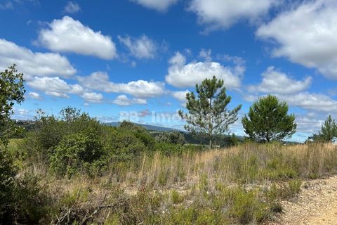 Helårsgrund i Tomar, Santarem, Tomar - € 8.000 | Ref: 01217-24 - foto 17